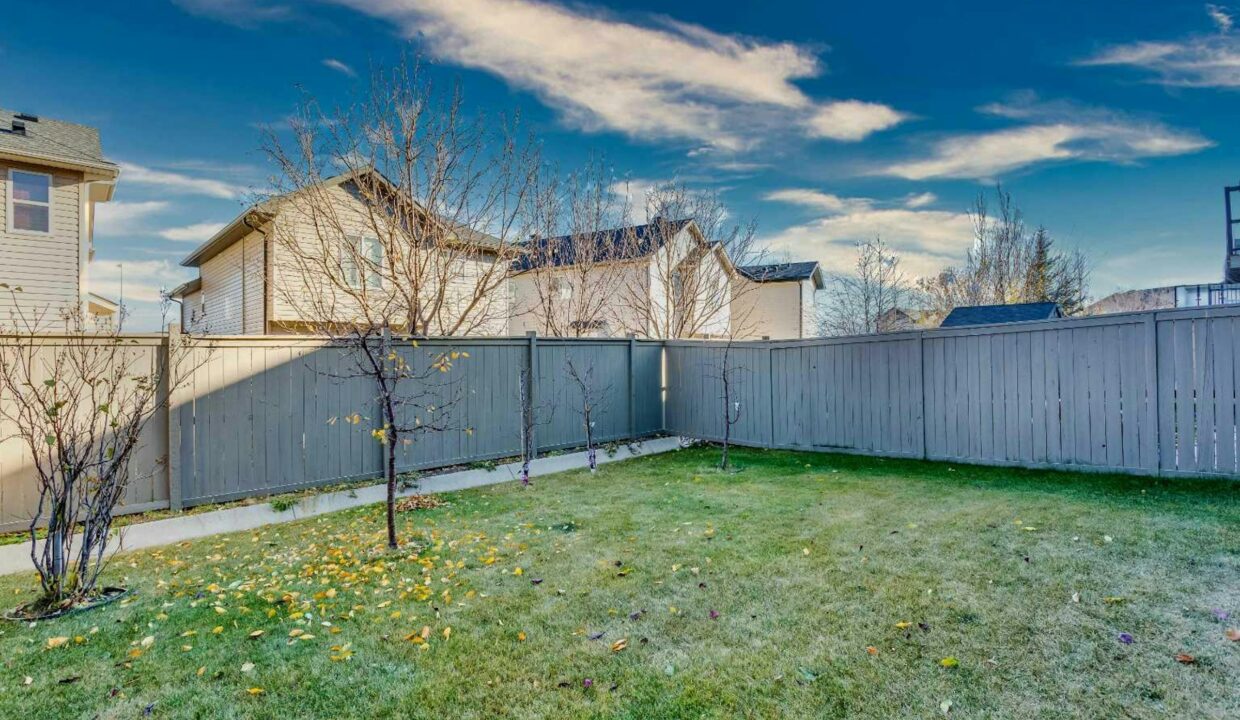 00_A2267395_4db889c6fe74eae4c3785f3880794cce