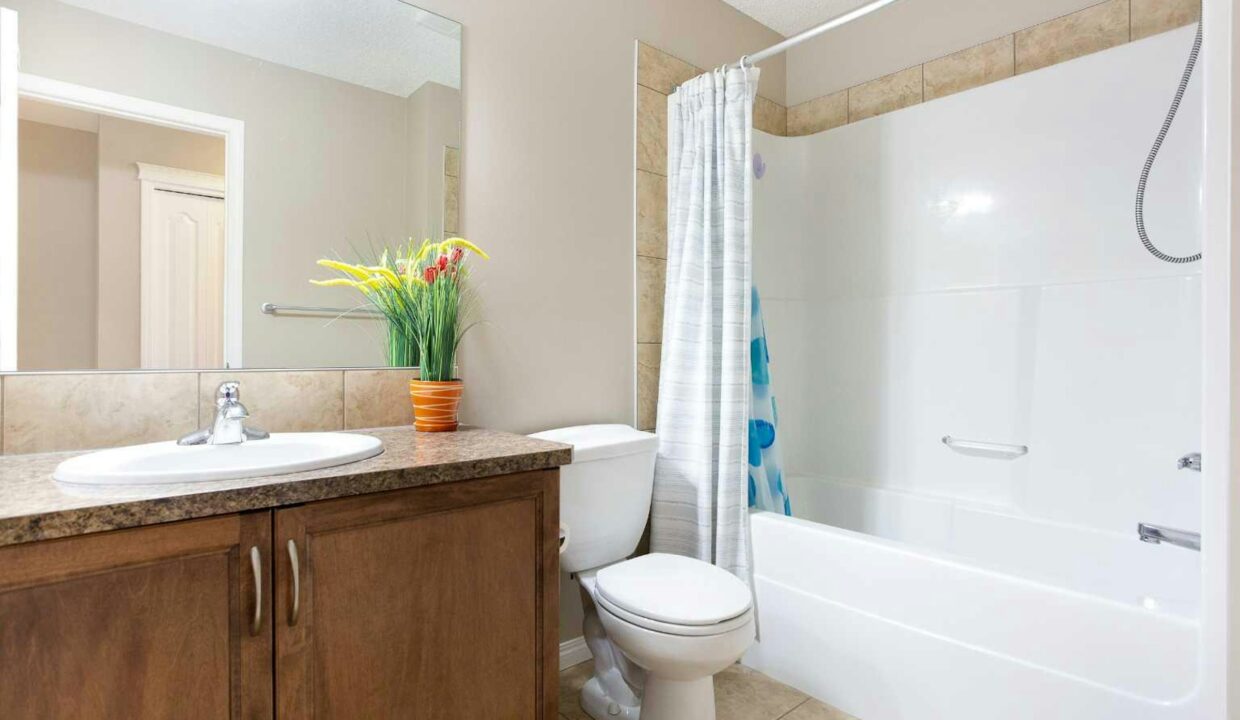 00_A2267395_cfd8607f03d0a1c6000fa61ef98fba9d